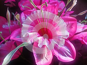 Bright and attractive pink plastic flowers with a wide crown