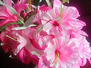 Bright and attractive pink plastic flowers with a wide crown