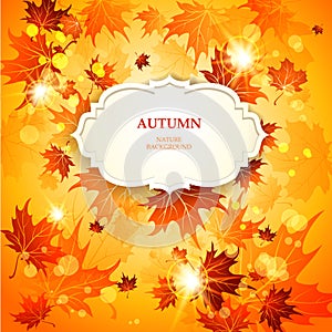 Bright autumn background with maple leaves