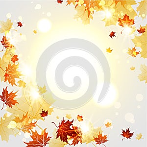 Bright autumn background with maple leaves