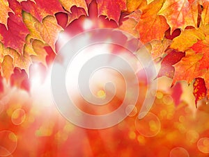 Bright autumn background. Red fall maple leaves and abstract bokeh light