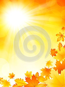Bright autumn background