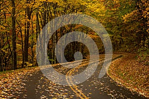 Bright Autumn Colors Along Blue Ridge Parkway Curve