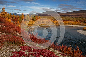 Bright autumn colors of vegetation on the river Bank.