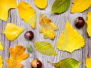 Bright autumn composition with leaves on wooden background. Top view, flat lay, view from above