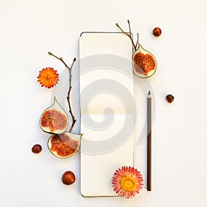 Bright autumn composition of a sketchbook, figs and tree branches. Flat lay, top view