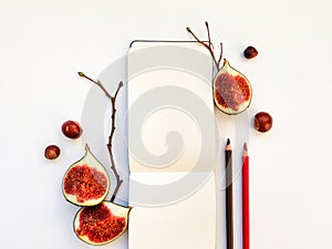 Bright autumn composition of a sketchbook, figs and tree branches. Flat lay, top view