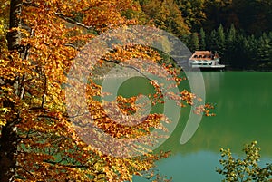 Bright autumn day at ighel lake,alba county-romania