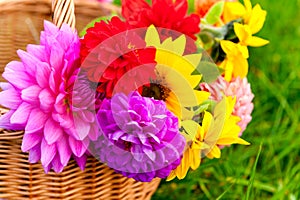 Bright autumn flowers in the basket