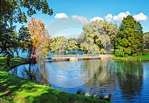 Bright autumn landscape with a red tree on the lake in the park.