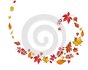 Bright autumn leaves spiral border isolated on white