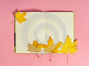 Bright autumn maple leaves with blank notebook on pink paper background. Seasonal fall composition, thanksgiving day concept.