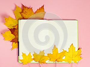 Bright autumn maple leaves with blank notebook on pink paper background. Seasonal fall composition, thanksgiving day concept.