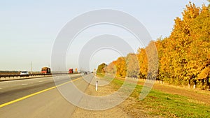 Bright autumn road wiht bright trees along it