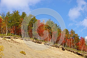 The Bright autumn tree on breakaway. photo