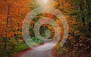 Bright autumn trees along scenic byway in Michigan upper peninsula