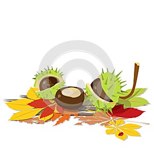 Bright autumn vector illustration chestnuts yellow red green leaves ladybug for books scenery sites