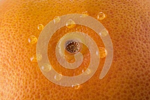 Bright background of grapefruit peel with a heart made of water droplets