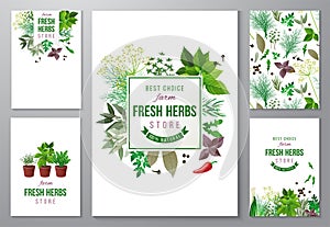 Bright backgrounds with fresh herbs
