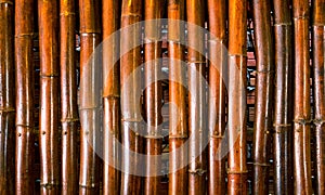 Bright bamboo background. Bamboo trunks photo. Rustic wooden screen. Brown bamboo decorative wall.