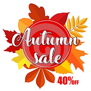 Bright banner for autumn sale on white background with colorful fall leaves.