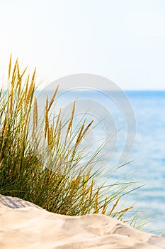 Chiaro Spiaggia scena 