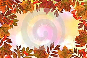 Bright beautiful autumn background of colorful autumn leaves of rowan and maple with rowan berries on an abstract background with