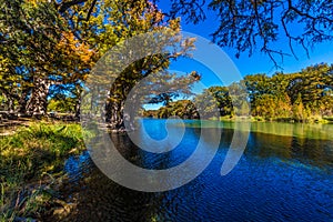 Bright Beautiful Fall Foliage on the Crystal Clear Frio River.