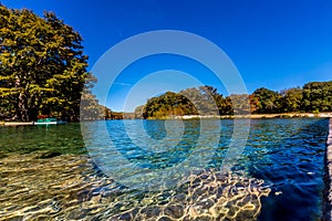 Bright Beautiful Fall Foliage on the Crystal Clear Frio River.