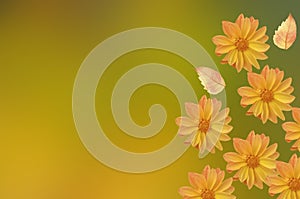 Bright beautiful floral background of pink yellow dahlia flowers with autumn leaves on an abstract yellow-green background
