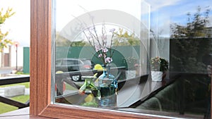 Bright beautiful flowers in a vase on the window