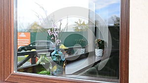 Bright beautiful flowers in a vase on the window