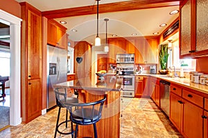 Bright beautiful kitchen room design