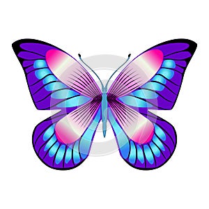 Bright beautiful purple butterfly. Vector illustration isolated.