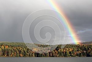 Bright, Beautiful Rainbow over the Trees and Lake