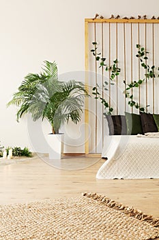 Bright bedroom with plants