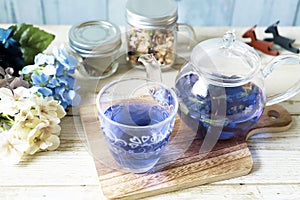 Bright blue color butterfly pea flower herb tea in a glass teapot and a cup