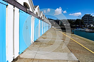 Bright blue doors on a boat garage at Wellington harbor, New Zealand