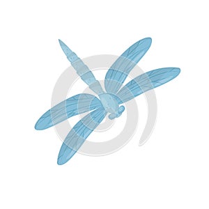 Bright blue dragonfly. Small fast-flying insect with long body and two pairs of large wings. Flat vector design