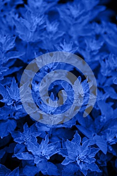 Bright blue fantasy background