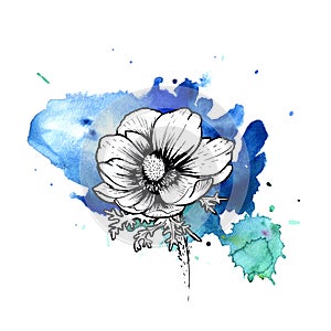 A bright blue formless watercolor blot. Poppy ink flower line graphic