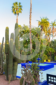 Bright blue fountain and garden of captus and exotic plants. Majorelle Garden. Concept of travel and architecture. Marrakech, photo