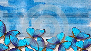 Bright blue morpho butterflies on the sheet music. Old music sheet in blue watercolor paint. Blues music concept. Abstract blue wa