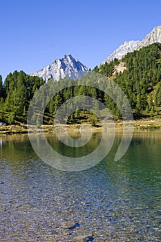 Bright blue mountain lake under blue sky with woods, stones and snow