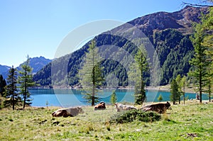 Bright blue mountain lake under blue sky with woods, stones and snow