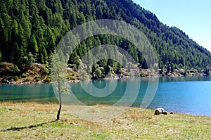 Bright blue mountain lake under blue sky with woods, stones and snow