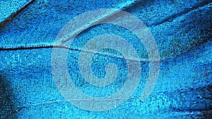 A fragment of a wing of the blue morpho butterfly, high magnification.