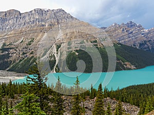 Bright Blue Peyto Lake, Banff National Park