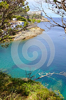 Bright blue quiet water beach landscape with green trees in a coastal landscape in Begur, Catalonia