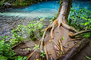 The Bright blue - Rio Celeste Views around Costa Rica